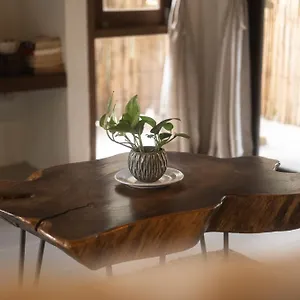 Big Tree Boutique מלון קו טאו